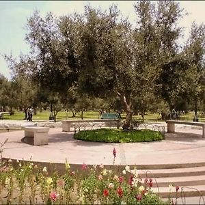 B&B El Olivar